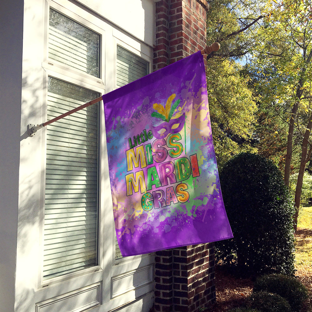 Little Miss Mardi Gras Flag Canvas House Size Image 2