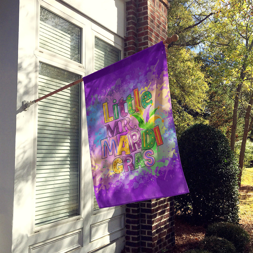 Little Mr. Mardi Gras Flag Canvas House Size Image 2