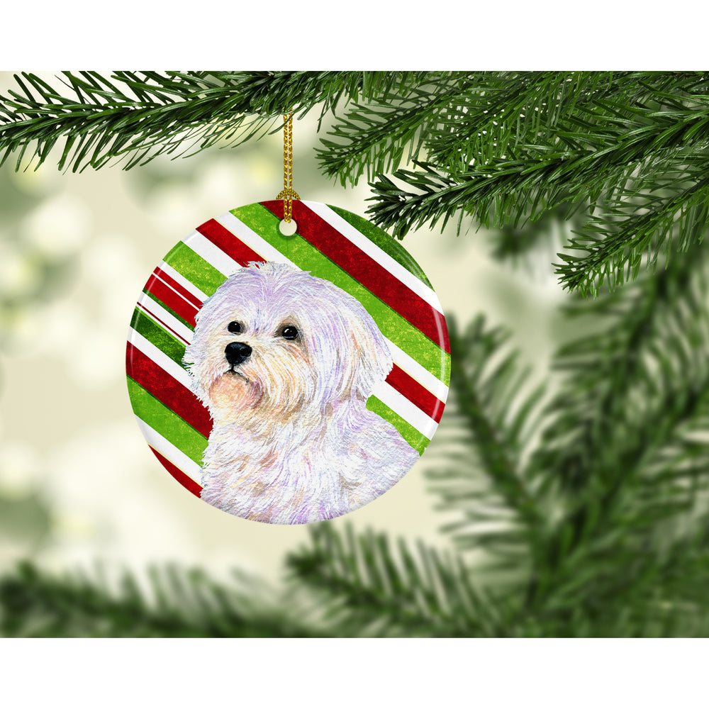 Maltese Candy Cane Holiday Christmas Ceramic Ornament SS4550 Image 2