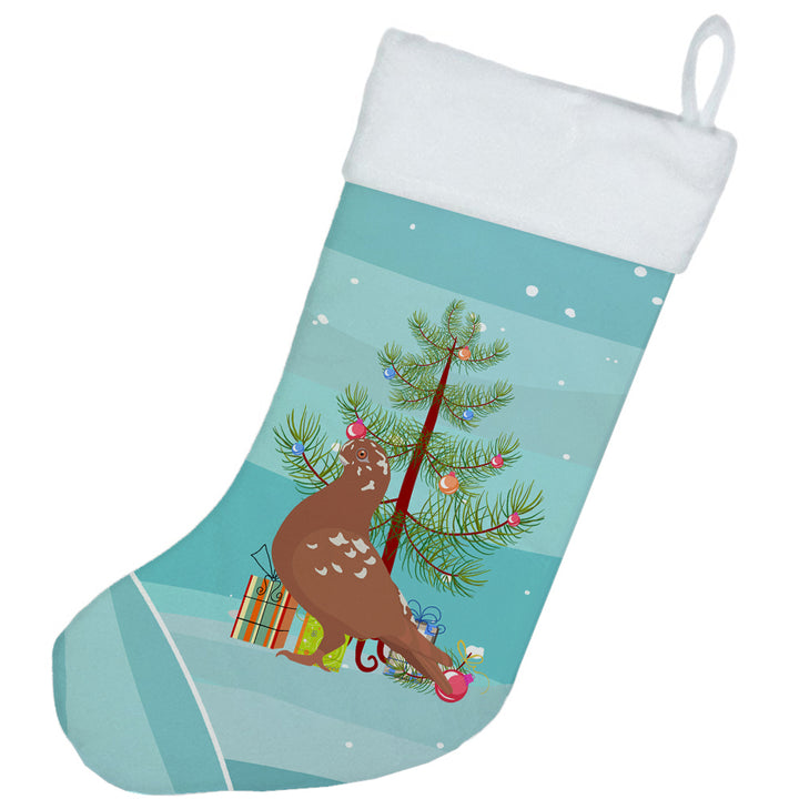 African Owl Pigeon Christmas Christmas Stocking Image 2