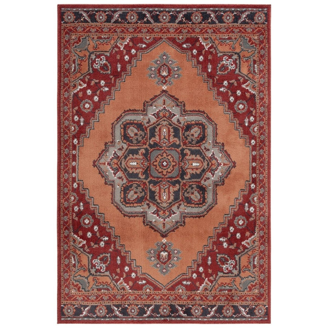 SAFAVIEH PYR215P Pyramid Rust / Ivory Grey Image 1