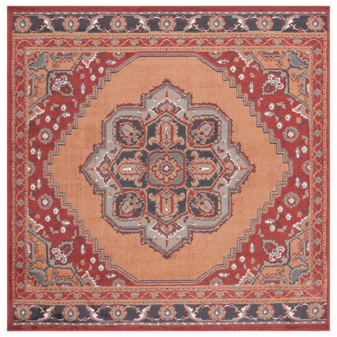 SAFAVIEH PYR215P Pyramid Rust / Ivory Grey Image 1