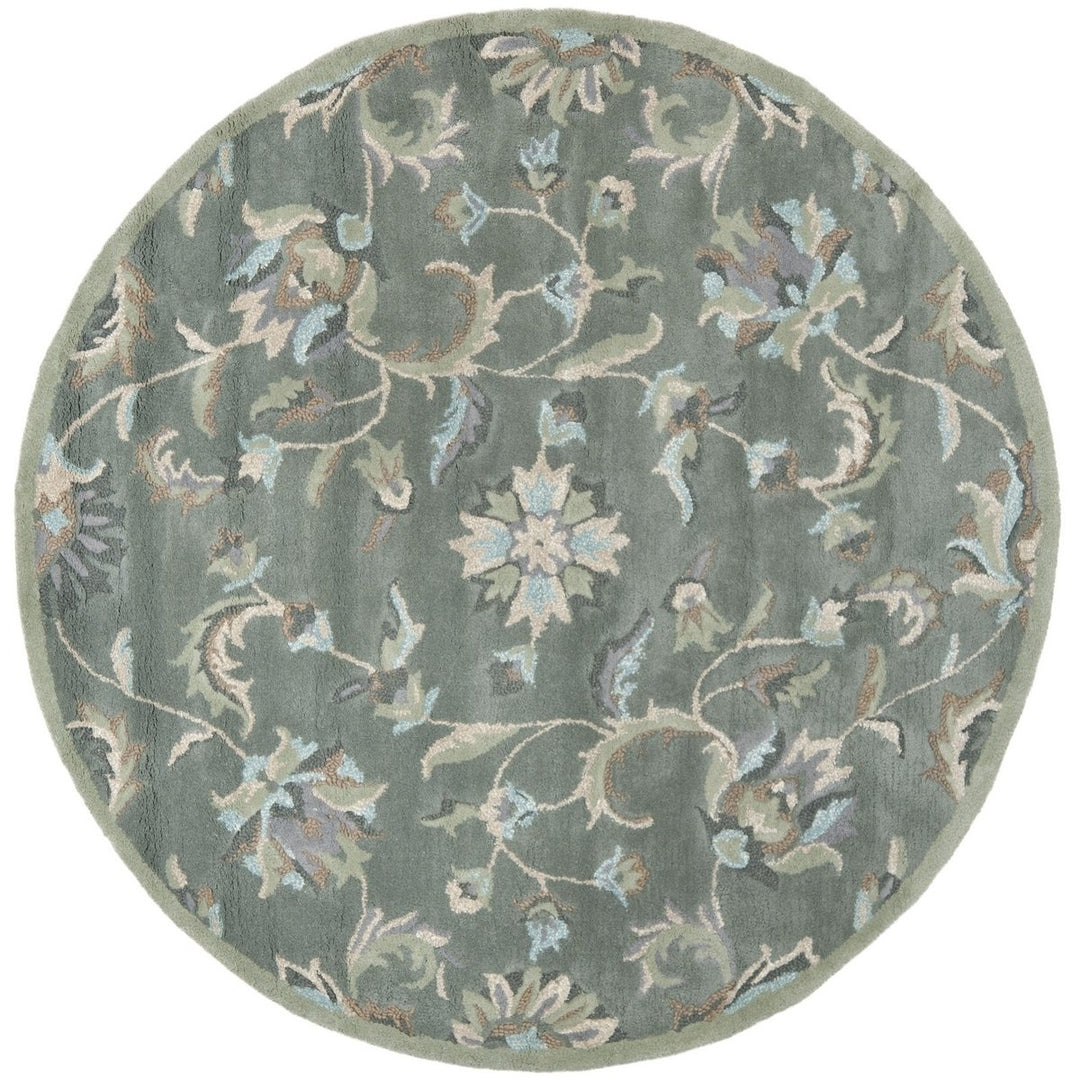 SAFAVIEH Jardin JAR461A Handmade Grey / Multi Rug Image 1