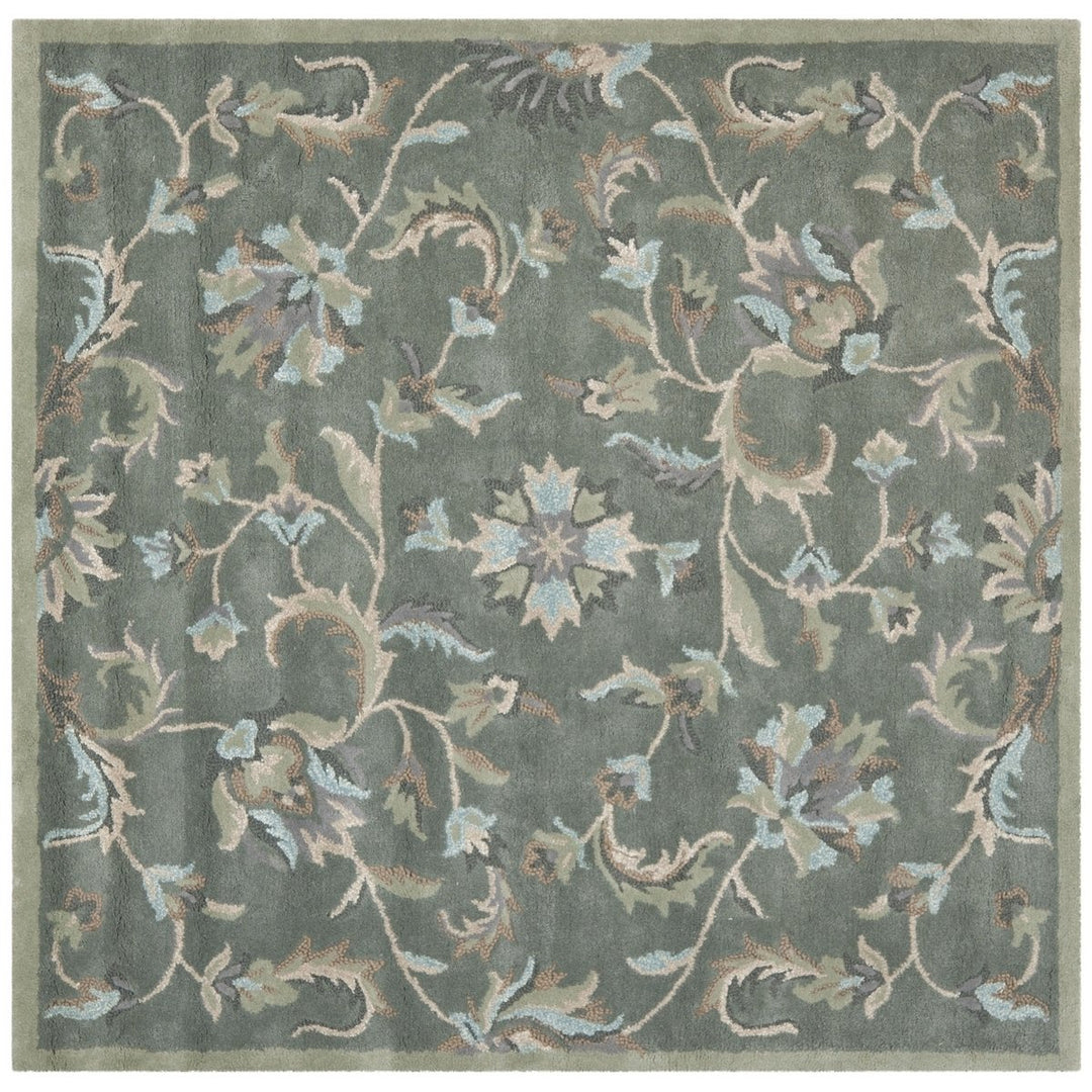 SAFAVIEH Jardin JAR461A Handmade Grey / Multi Rug Image 1