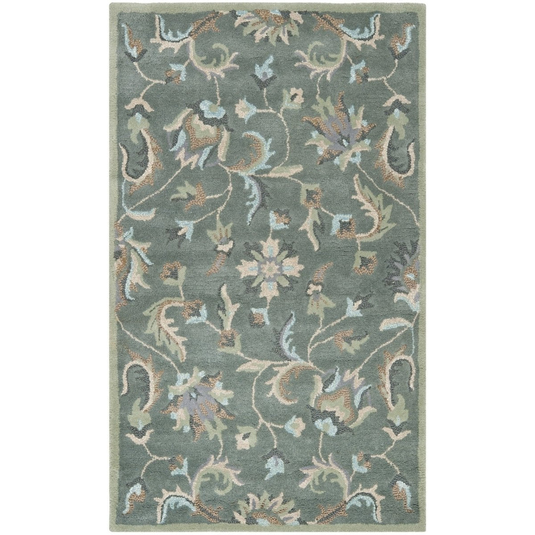 SAFAVIEH Jardin JAR461A Handmade Grey / Multi Rug Image 1