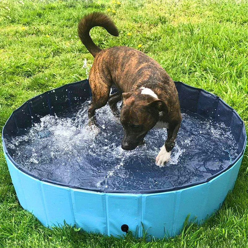 12030cm PVC Pet Pool Collapsible Dog Bath Tub Outdoor Portable Paddling Bath Cat Dog Cleaning Supplies Image 4