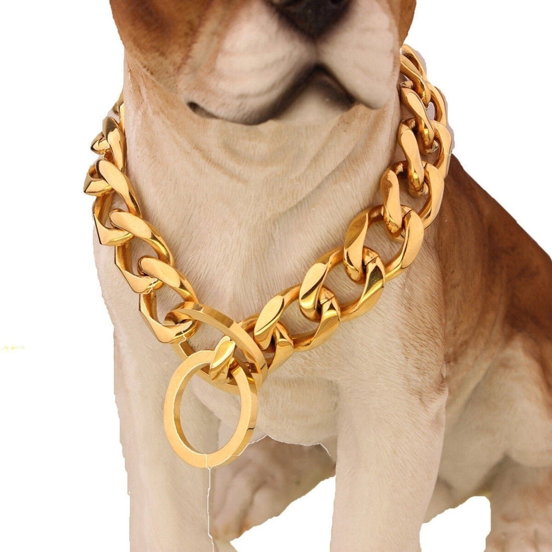 17mm Stainless Steel Gold Chain Dog Necklace Pet Collar Puppy Training Curb Image 3