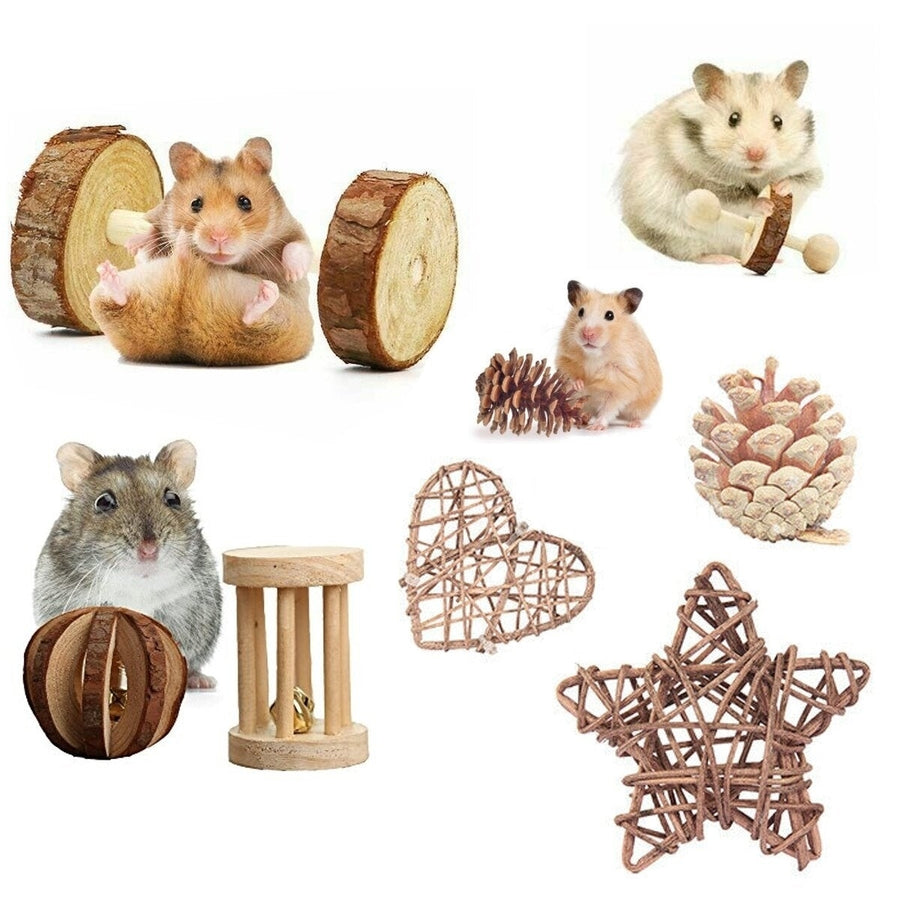 14PCS Hamster Toy Set Small Animal Wooden Chew Accessories Rat Exercise for Pet Image 1