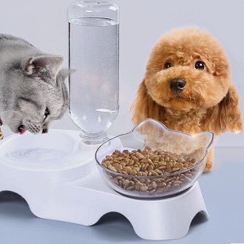 15 Degree Raised Pet Bowls Cats Food Water Feeder Plastic Tilted Elevated Bowl for Pets Care Image 2