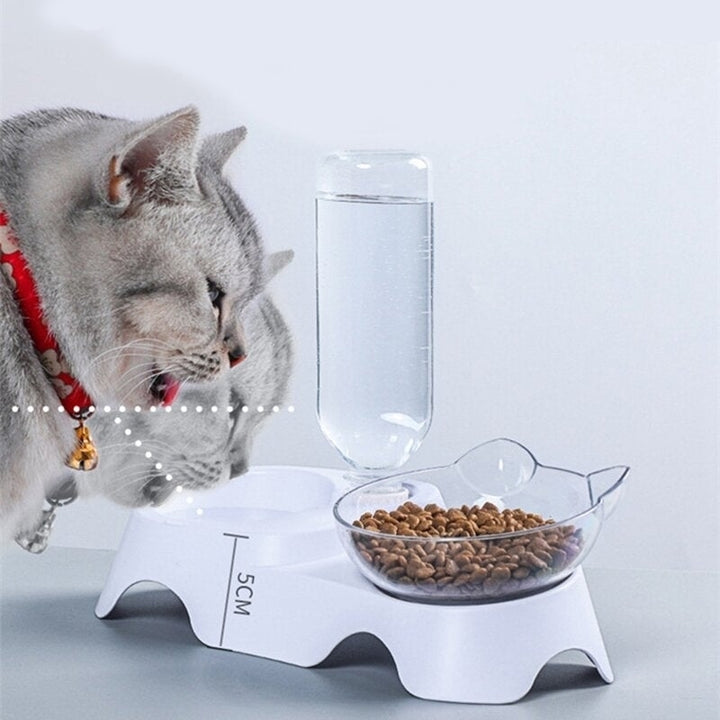 15 Degree Raised Pet Bowls Cats Food Water Feeder Plastic Tilted Elevated Bowl for Pets Care Image 3