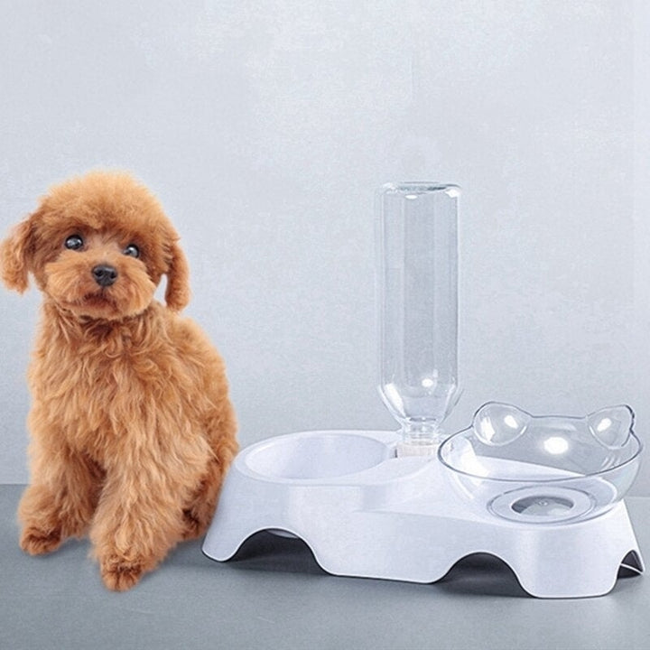 15 Degree Raised Pet Bowls Cats Food Water Feeder Plastic Tilted Elevated Bowl for Pets Care Image 4