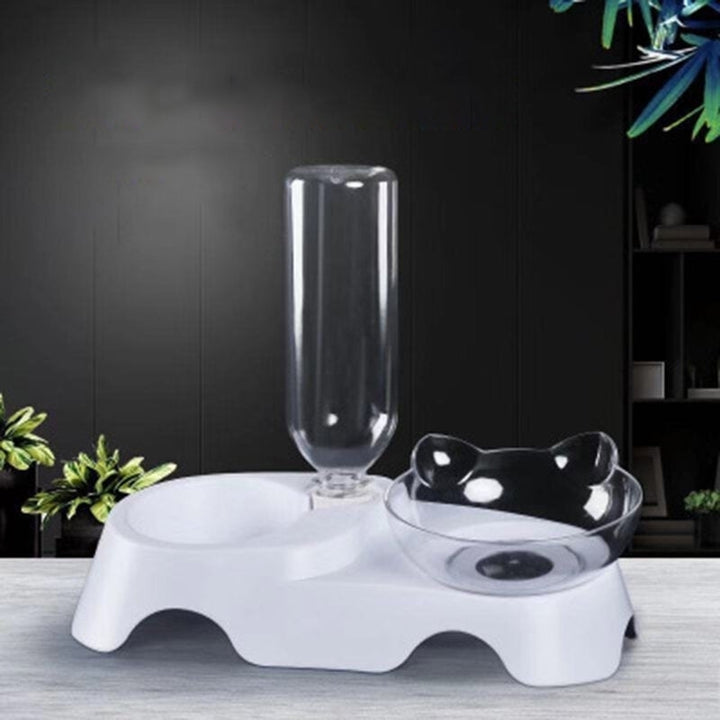 15 Degree Raised Pet Bowls Cats Food Water Feeder Plastic Tilted Elevated Bowl for Pets Care Image 7