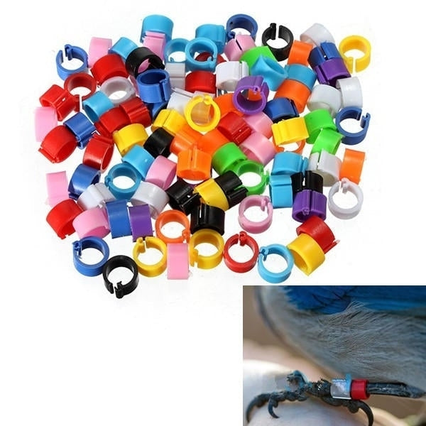 150Pcs Bird Leg Bands for Pigeon Parrot Finch Canary Hatch Poultry Pet Toys Image 1