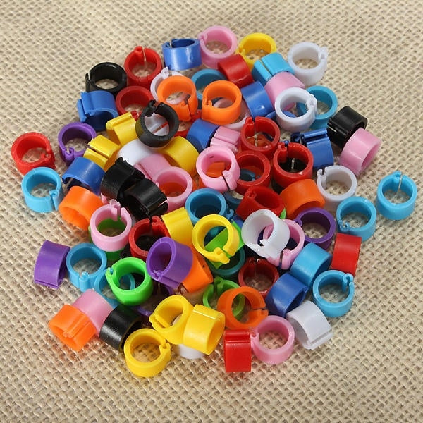 150Pcs Bird Leg Bands for Pigeon Parrot Finch Canary Hatch Poultry Pet Toys Image 4