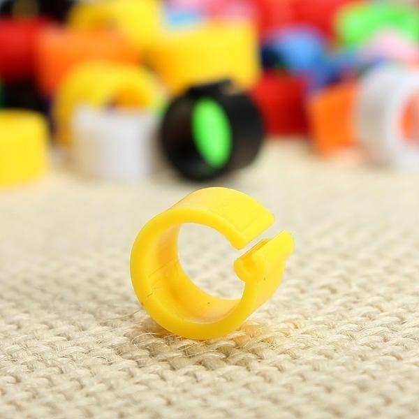 150Pcs Bird Leg Bands for Pigeon Parrot Finch Canary Hatch Poultry Pet Toys Image 7