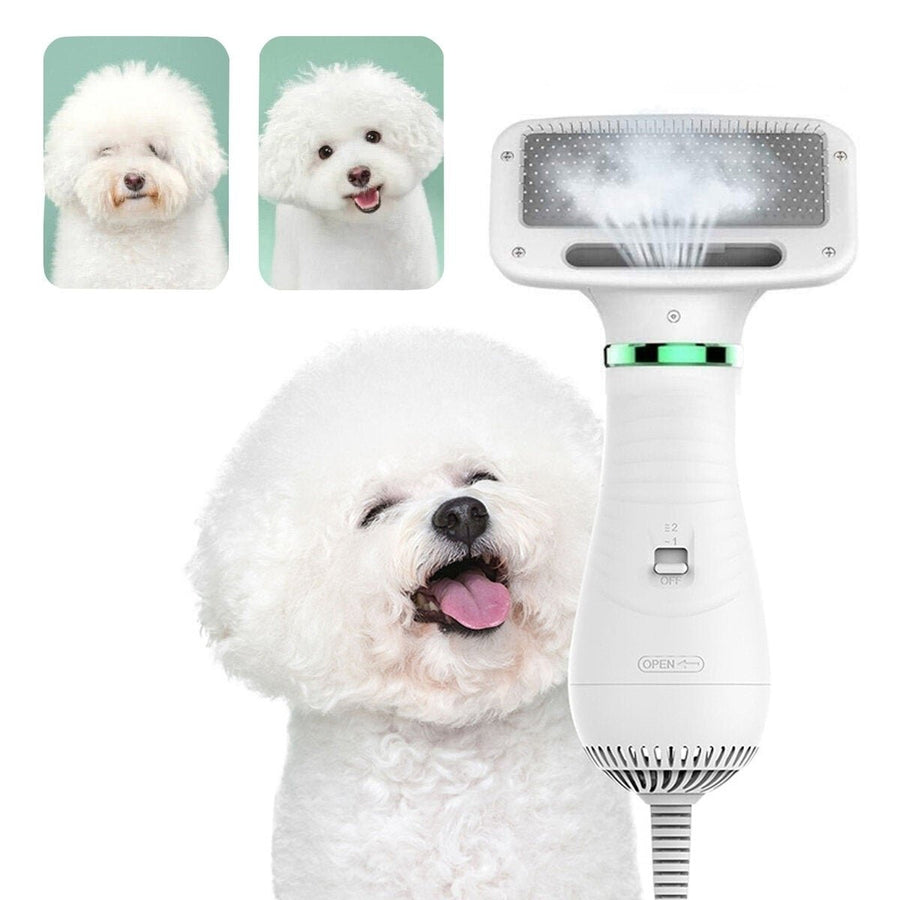 2 in 1 Pet Grooming Hair Dryer Blower with Slicker Slicker Brush Adjustable Temperature Low Noise for Cat Dog Pet Image 1