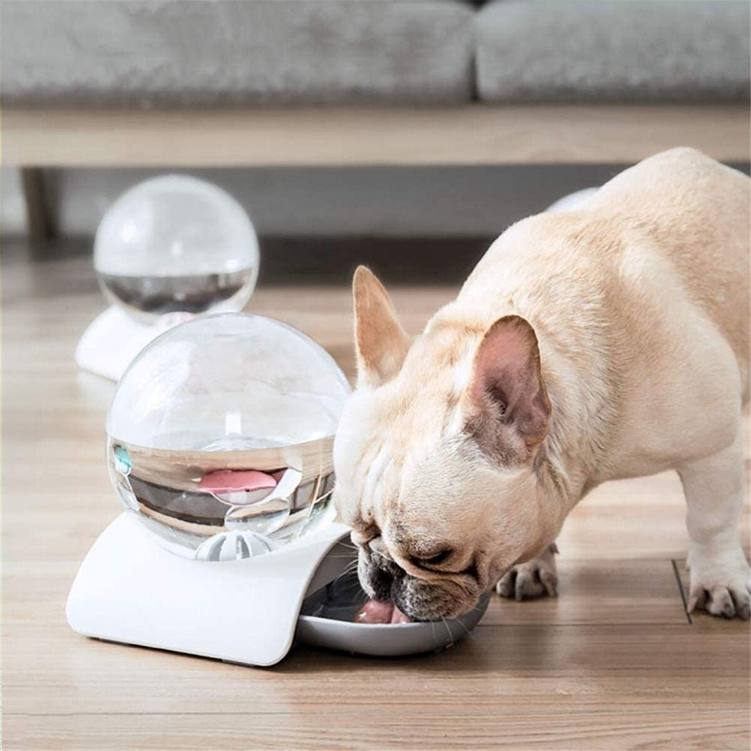 2.8L Autoxic Water Fountain Large Capacity Drinking Bowl Image 4