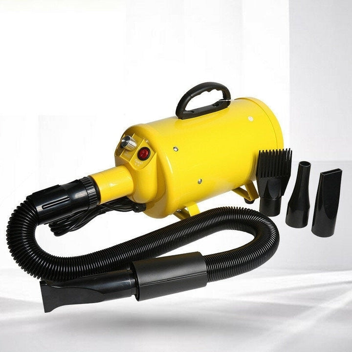 2000W Pet Hair Dryer 4 Kind of Heads Thickered Filter ElementandAir Outlet Pipe Mute Operation for Cat Dog Image 7