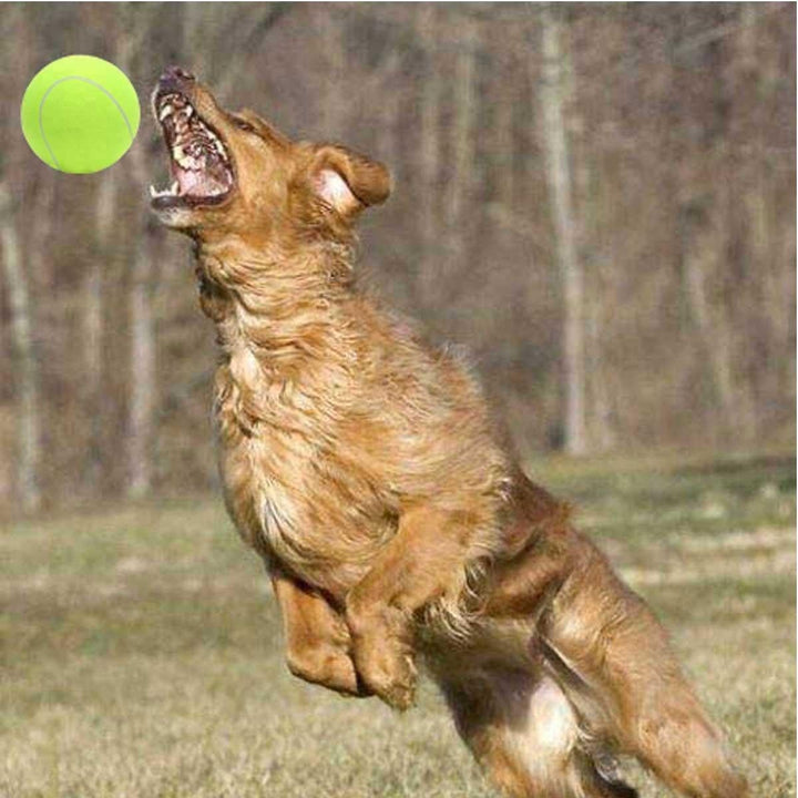 24cm Big Giant Pet Dog Puppy Tennis Ball Thrower Chucker Launcher Pet Toys Image 3