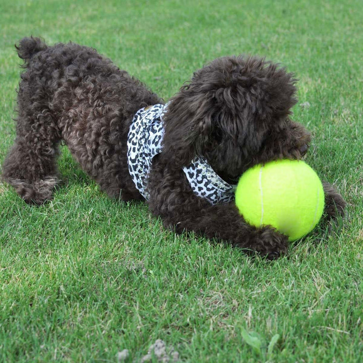 24cm Big Giant Pet Dog Puppy Tennis Ball Thrower Chucker Launcher Pet Toys Image 4