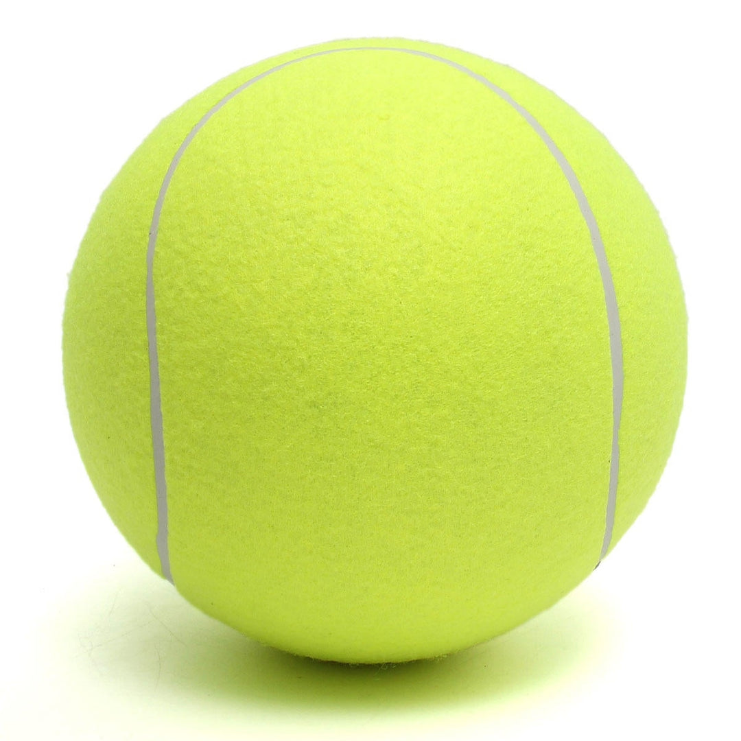 24cm Big Giant Pet Dog Puppy Tennis Ball Thrower Chucker Launcher Pet Toys Image 5