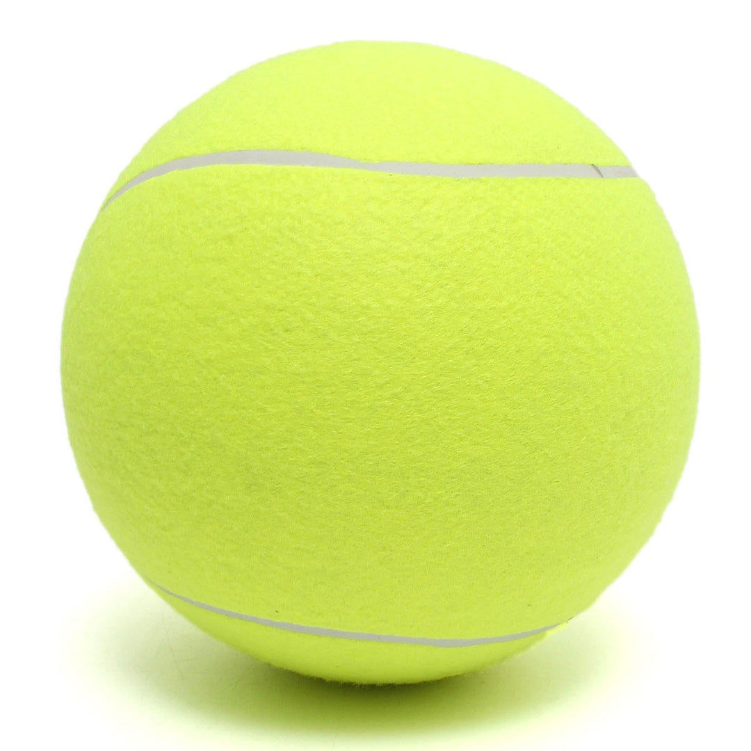 24cm Big Giant Pet Dog Puppy Tennis Ball Thrower Chucker Launcher Pet Toys Image 6