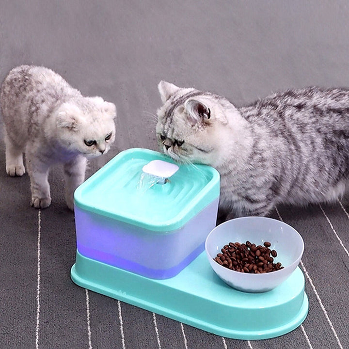 2L Pet dog Cat Water Fountain Drinking Electric Dispenser Drinker Silent Pet Feeder Puppy Supplies Slow-eating Bowl Image 4