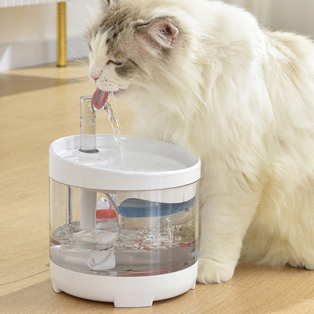 2L Automatic Water Dispenser Adjustable Water Flow Cat Water Fountain Clear Ultra Quiet Cat Dog Water Dispenser Feeder Image 6