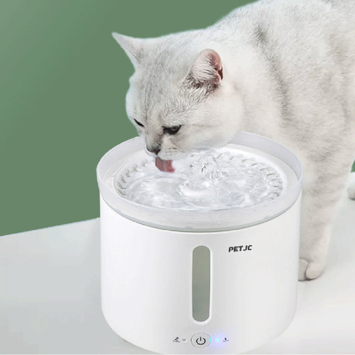 2L Pet Cat Fountain Drinking Window LED Autoxic Dog Cat Water Drinking Bowl USB Pet Drinking Dispenser Image 4