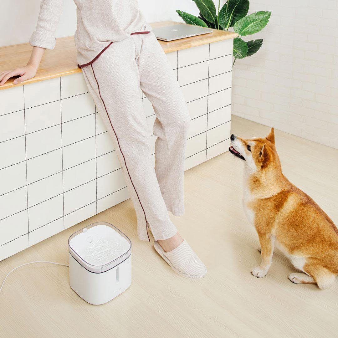 2L Smart Electric Autoxic Filtering Pet Water Dispenser Water Bucket From Electric Pet Drinking Bowl Fountain Autoxic Image 5