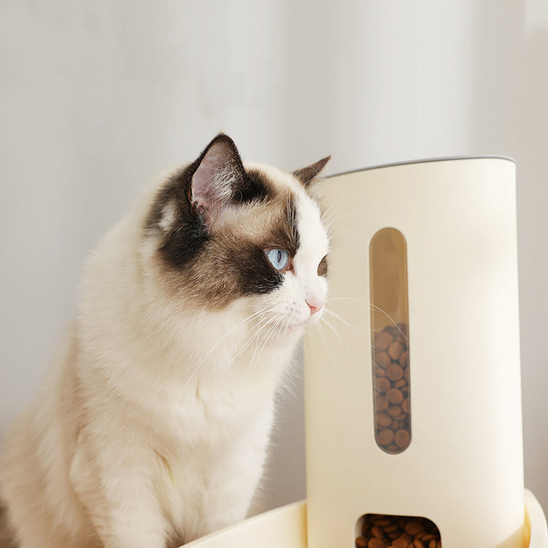 3.8L Automatic Feeder Pet Dog Cat Food Bowl Removable And Easy To Clean Cat Dog Pet Feeder Image 5