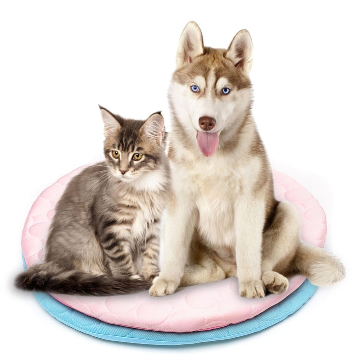 42R,50R Pet Dog Cat Soft Summer Chilly Cooling Mat Cold Bed Fiber Mats Pad Pet Seat Cushion Image 1