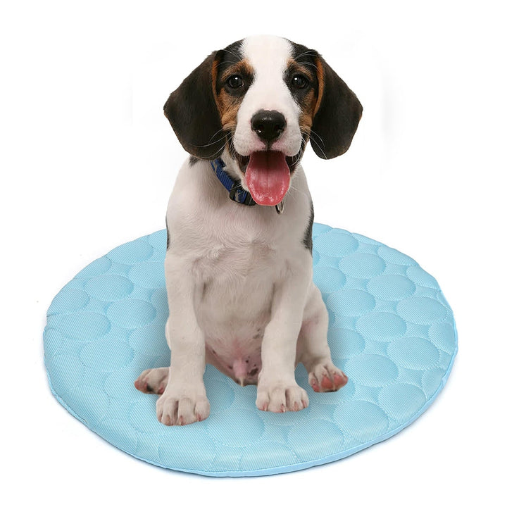 42R,50R Pet Dog Cat Soft Summer Chilly Cooling Mat Cold Bed Fiber Mats Pad Pet Seat Cushion Image 4