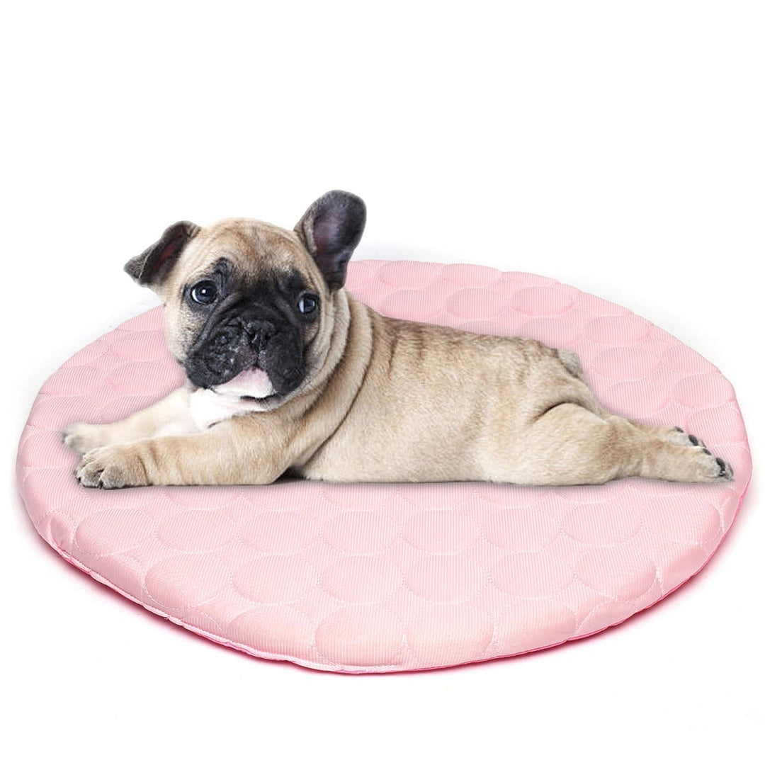 42R,50R Pet Dog Cat Soft Summer Chilly Cooling Mat Cold Bed Fiber Mats Pad Pet Seat Cushion Image 7