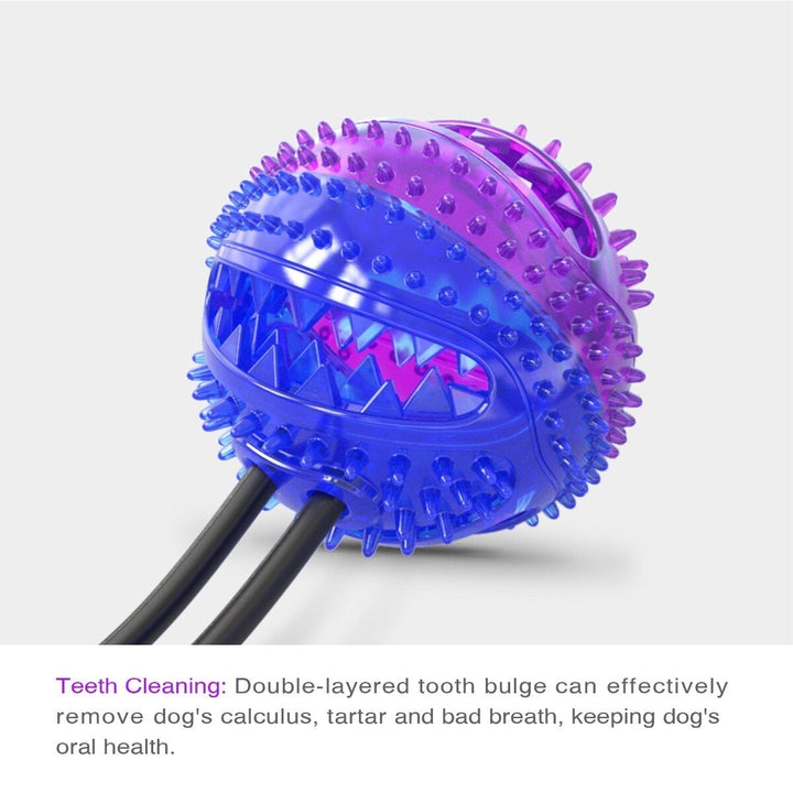 4 In 1 Sunction Dog Toy Pet Molar Bite Toy Double Sucker Self-playing Dog Rope Toy Bite Ball Image 4