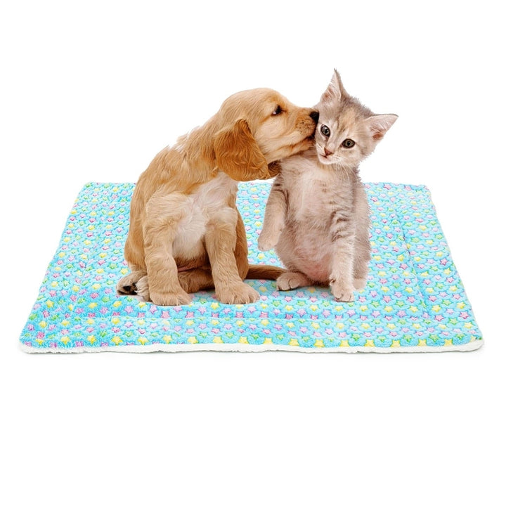 4 Size Soft Cosy Warm Fleece Pet Dog Cat Animal Blanket Velvet Bed Mat Cozy Pad Pet Mat Image 1