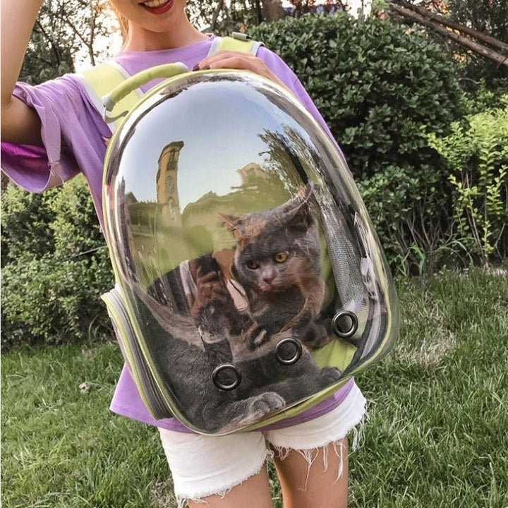 5 Colors Breathable Transparent Pet Travel Backpack Dog Cat Carrier Shoulder Bag Image 9