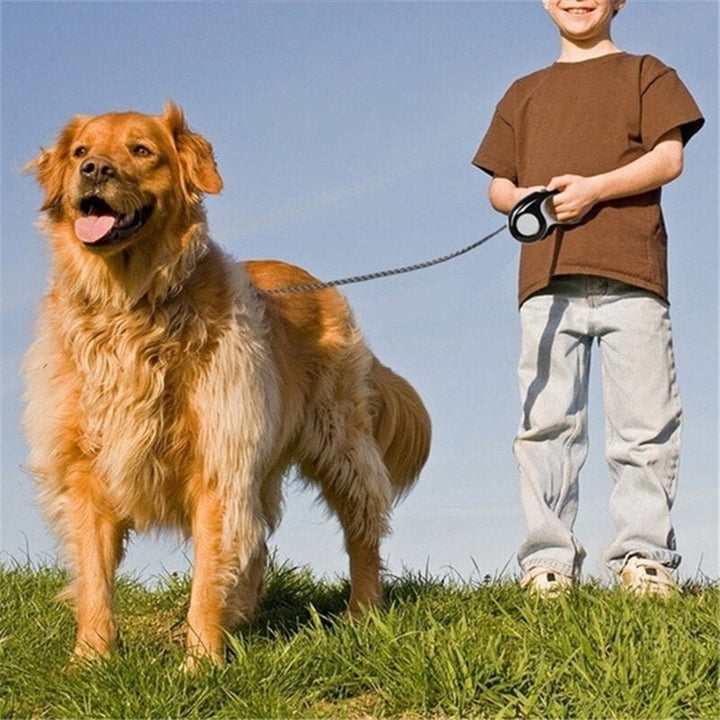 5M Dog Leash Autoxic Retractable Etending Pet Leashes Dog Collar Walking Dog Image 2