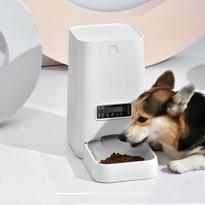 6L Intelligent Pet Feeder Voice Recording Button Control Dog Cat Feeder Anti-food Jammed Design Image 3