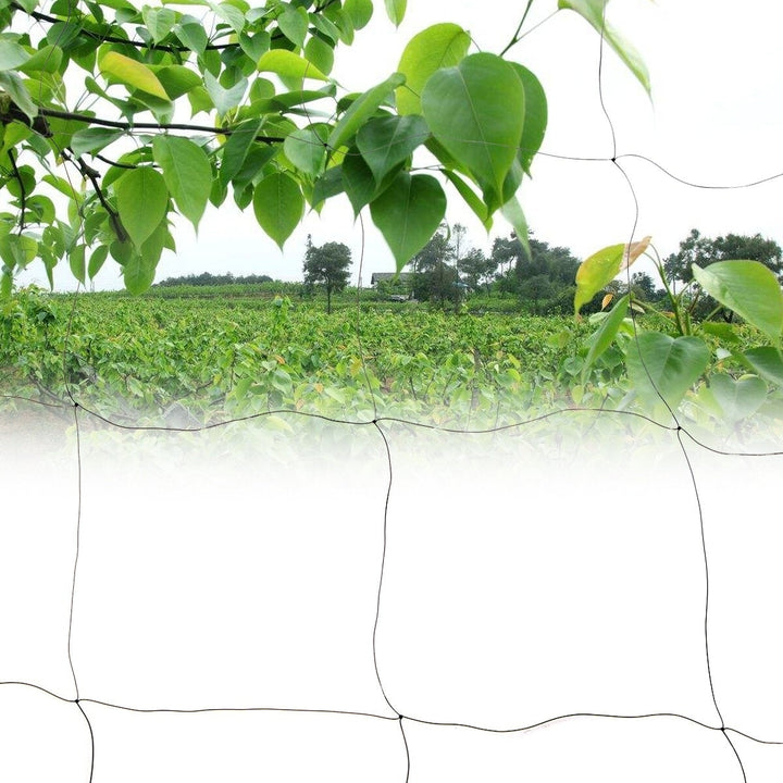 Anti Bird Netting Poultry Soccer Garden Fruit Protection Net Image 4