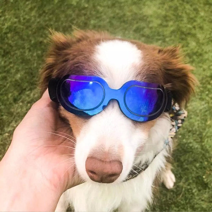 Adjustable Pet Dog Sunglasses Goggles Sun Glasses for Small Medium Large Dogs Cats Puppy Outdoor Glasses Pet Toy Image 3