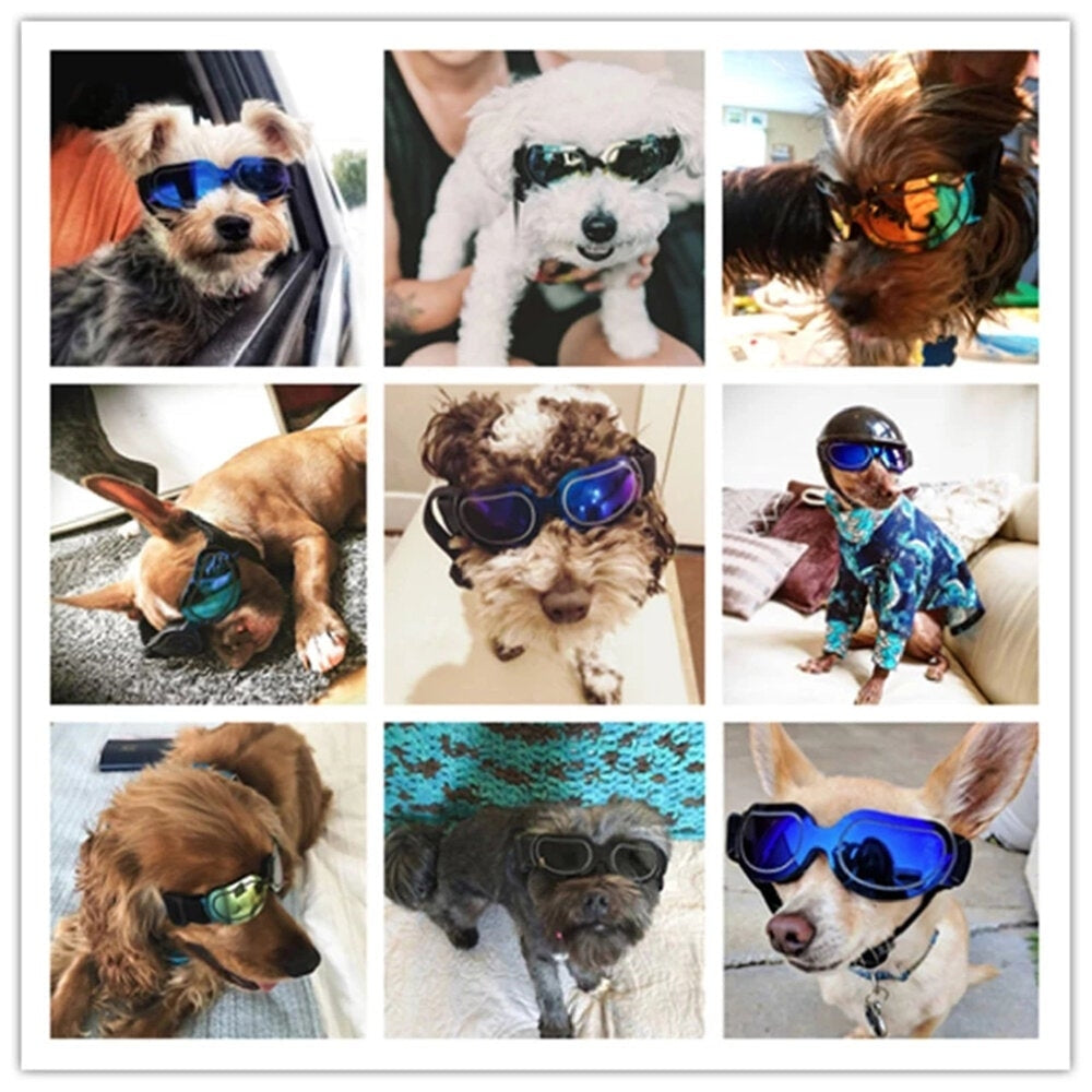 Adjustable Pet Dog Sunglasses Goggles Sun Glasses for Small Medium Large Dogs Cats Puppy Outdoor Glasses Pet Toy Image 4