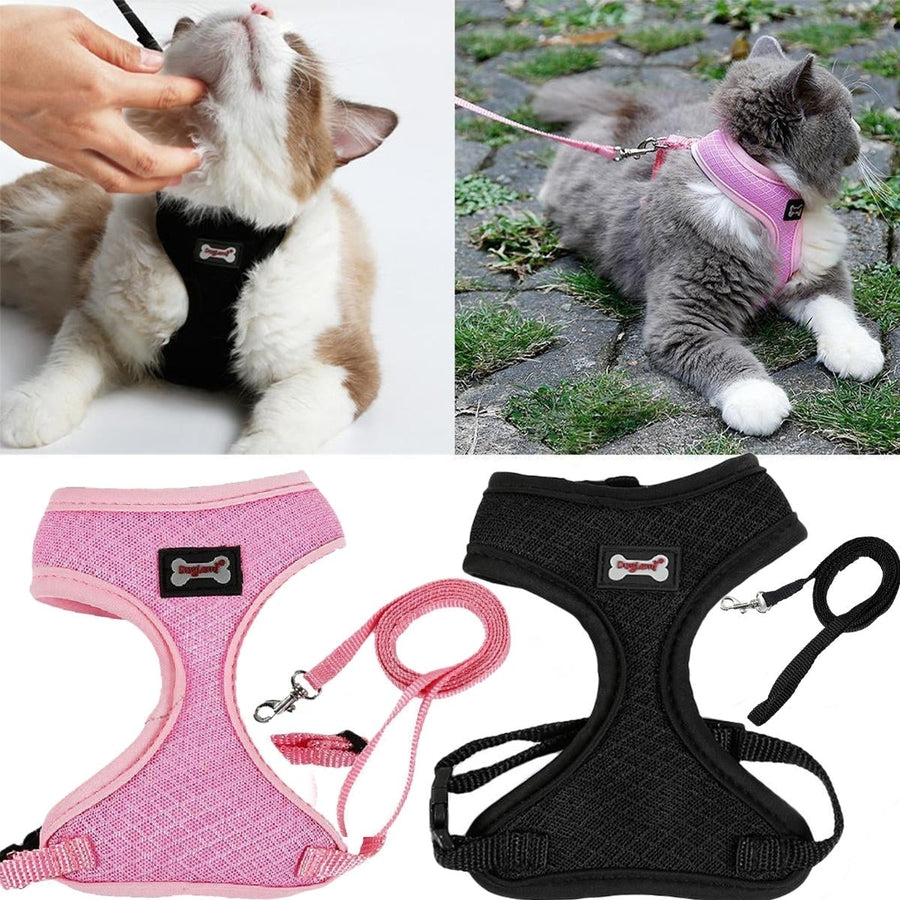 Adjustable Pet Lead Leash Cat Dog Harness And Soft Mesh Walking Harness Vest Apparel Image 1