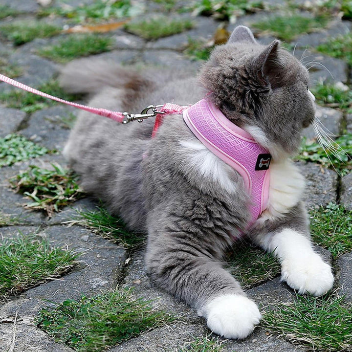 Adjustable Pet Lead Leash Cat Dog Harness And Soft Mesh Walking Harness Vest Apparel Image 3