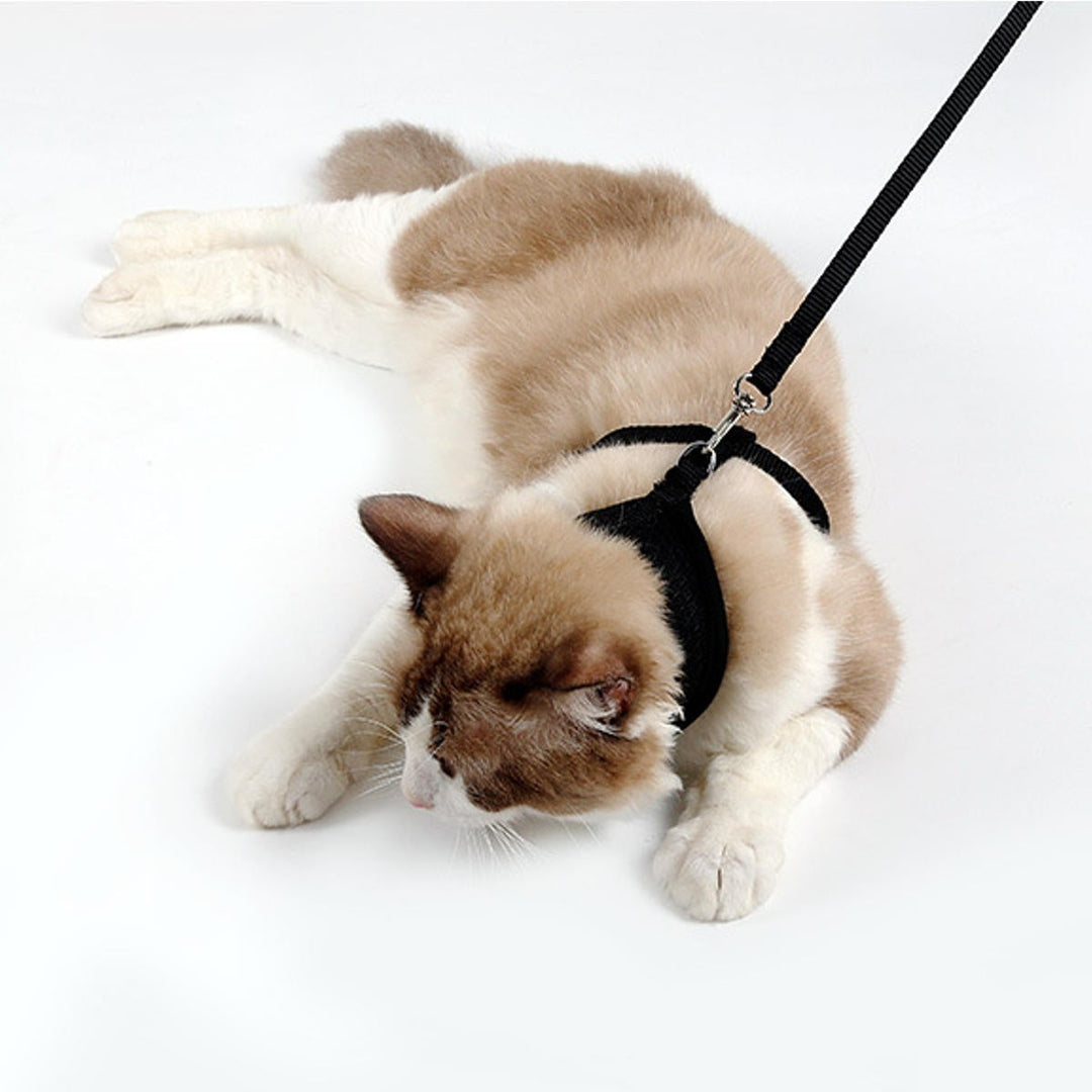 Adjustable Pet Lead Leash Cat Dog Harness And Soft Mesh Walking Harness Vest Apparel Image 4