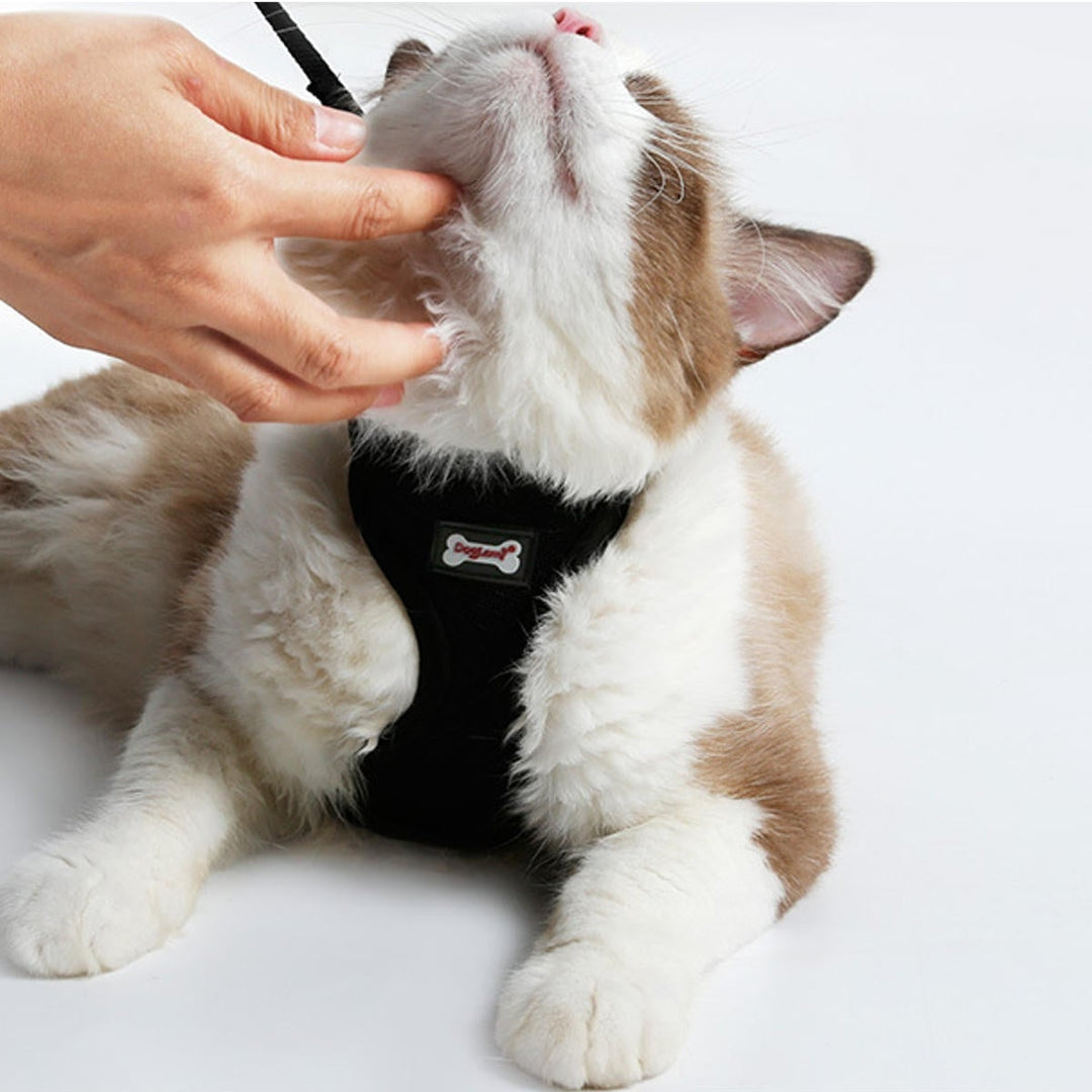 Adjustable Pet Lead Leash Cat Dog Harness And Soft Mesh Walking Harness Vest Apparel Image 5