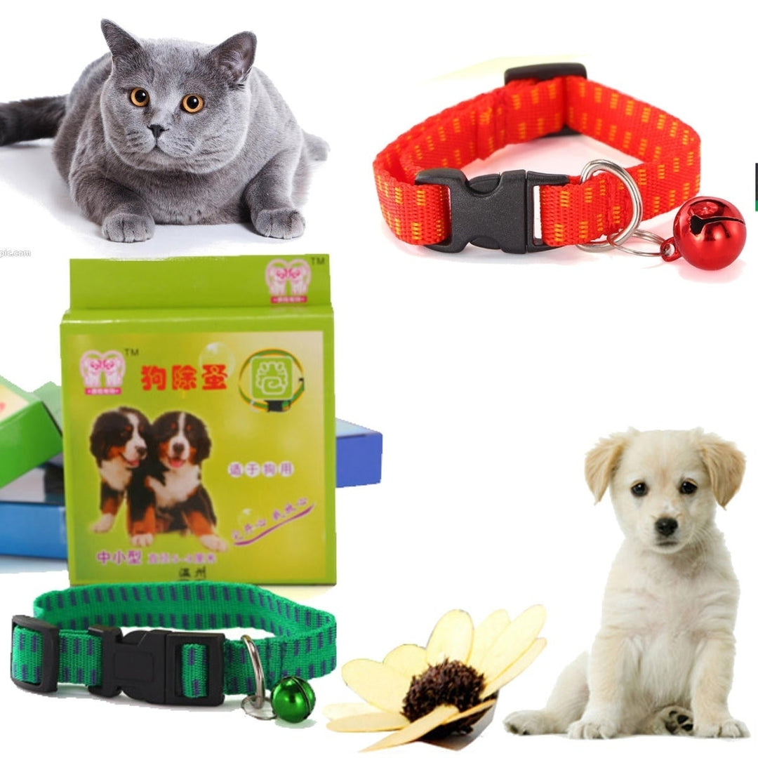 Anti Flea and Collar for Dog and Cat Universal Pet Protection Neck Strap Image 1