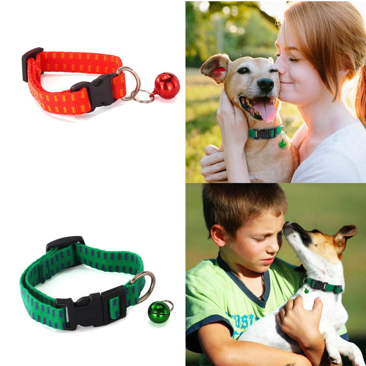 Anti Flea and Collar for Dog and Cat Universal Pet Protection Neck Strap Image 2