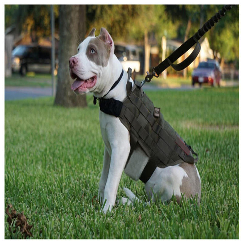 Army Tactical Dog Vest Hunting Dog Training Molle Vest Outdoor Military Dog Clothes Image 4