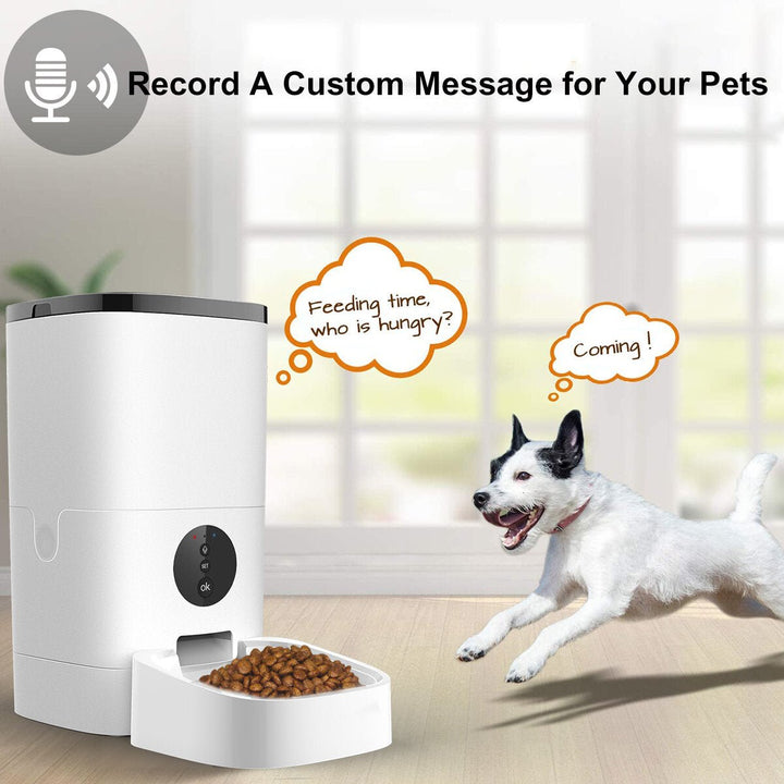 Automatic Pet Feeder LCD Display APP Control Timing Feeding Automatic Pet Feeder Store Food Box Image 4